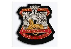 Devon and Dorsets Blazer Badge