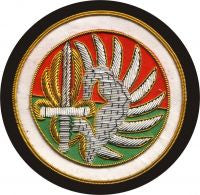 SPECIAL BOAT SERVICE SBS BLAZER BADGE