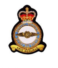 RAF DENTAL BRANCH BLAZER BADGE