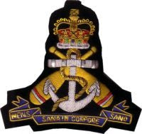 RN PHYSICAL TRAINING BRANCH BLAZER BADGE