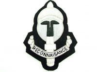 SPECIAL RECONNAISSANCE BLAZER BADGE